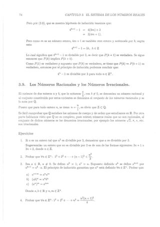 Lara Prado Jorge - Análisis Matematico