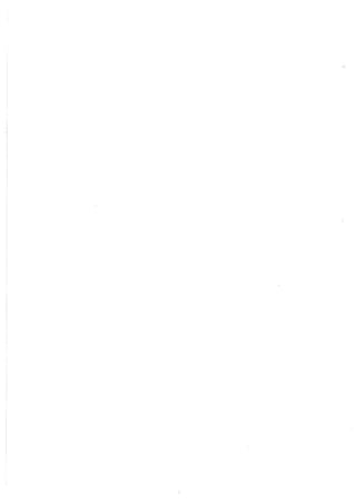 Lara Prado Jorge - Análisis Matematico