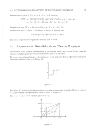 Lara Prado Jorge - Análisis Matematico