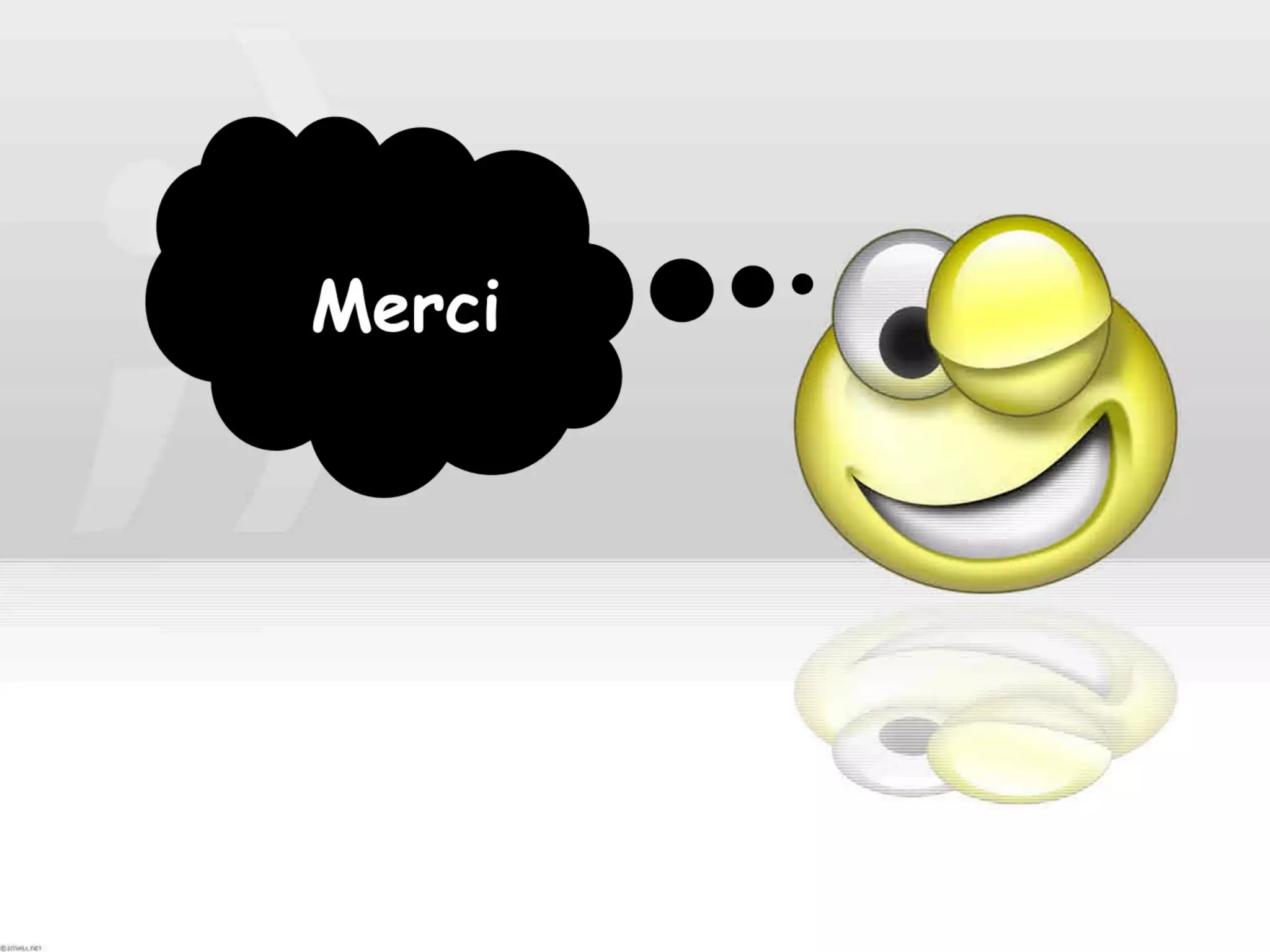 anatomie de la rate | PPT