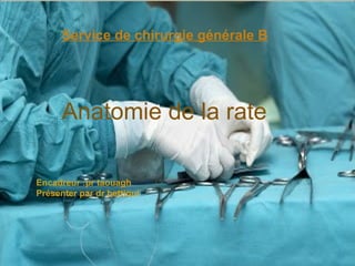 Service de chirurgie générale B
Anatomie de la rate
Encadreur :pr taouagh
Présenter par dr bettioui
 