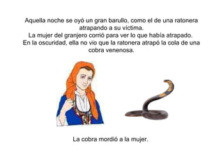 Aquella noche se oyó un gran barullo, como el de una ratonera
atrapando a su víctima.
La mujer del granjero corrió para ver lo que había atrapado.
En la oscuridad, ella no vio que la ratonera atrapó la cola de una
cobra venenosa.
La cobra mordió a la mujer.
 