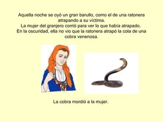 Aquella noche se oyó un gran barullo, como el de una ratonera
atrapando a su víctima.
La mujer del granjero corrió para ver lo que había atrapado.
En la oscuridad, ella no vio que la ratonera atrapó la cola de una
cobra venenosa.
La cobra mordió a la mujer.
 