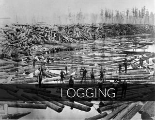 LOGGING
 