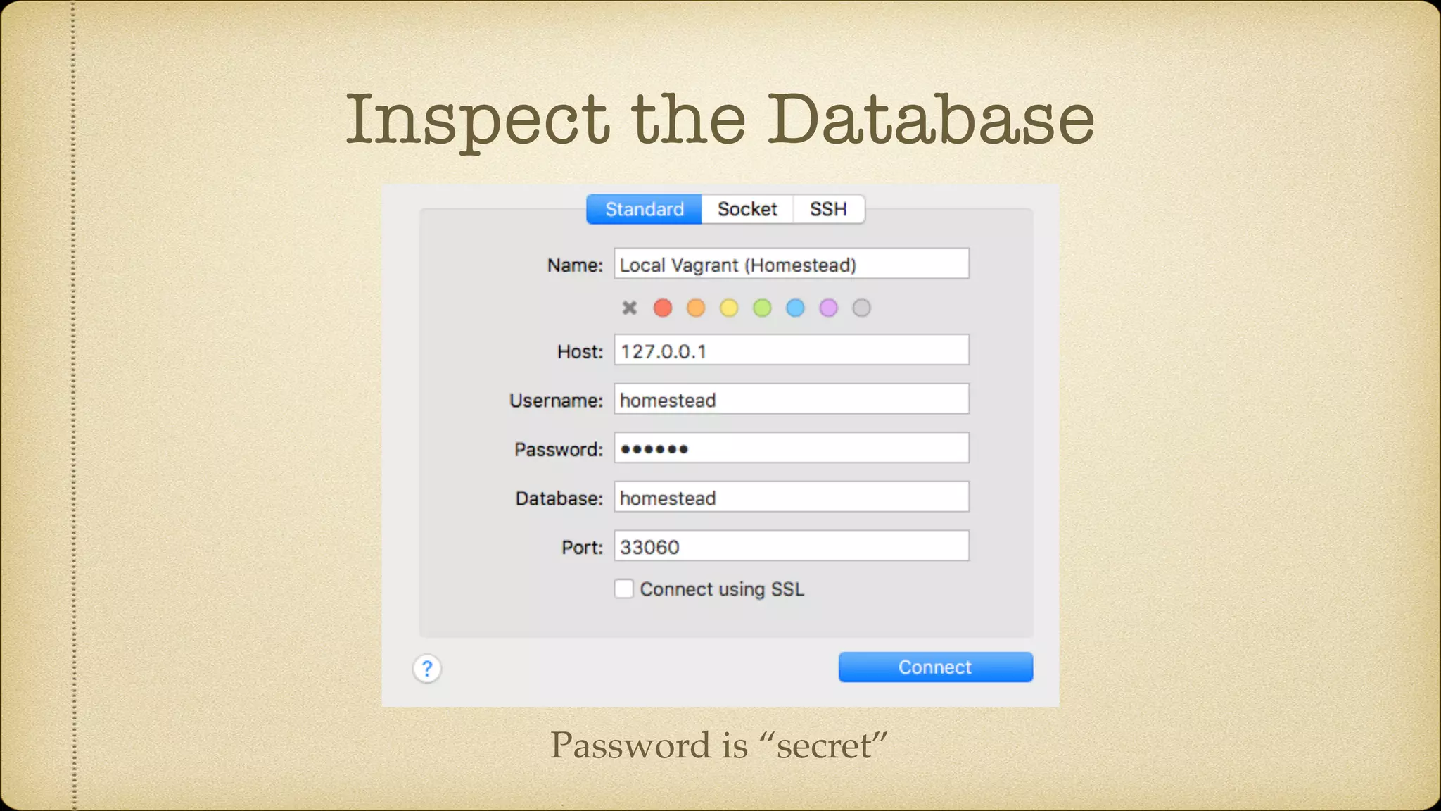 Inspect the Database
Password is “secret”
 