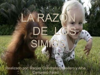 LA RAZON    DE  LOS     SIMIOS Realizado por: Raquel Colodrero Caballero y Alba Camarero Férez 