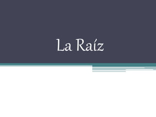 La Raíz 
 