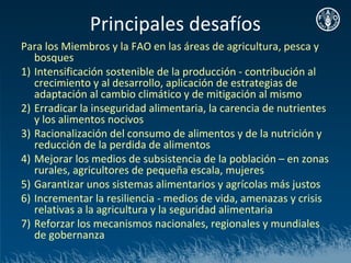 Principales desafíos
Para los Miembros y la FAO en las áreas de agricultura, pesca y
   bosques
1) Intensificación sostenible de la producción - contribución al
   crecimiento y al desarrollo, aplicación de estrategias de
   adaptación al cambio climático y de mitigación al mismo
2) Erradicar la inseguridad alimentaria, la carencia de nutrientes
   y los alimentos nocivos
3) Racionalización del consumo de alimentos y de la nutrición y
   reducción de la perdida de alimentos
4) Mejorar los medios de subsistencia de la población – en zonas
   rurales, agricultores de pequeña escala, mujeres
5) Garantizar unos sistemas alimentarios y agrícolas más justos
6) Incrementar la resiliencia - medios de vida, amenazas y crisis
   relativas a la agricultura y la seguridad alimentaria
7) Reforzar los mecanismos nacionales, regionales y mundiales
   de gobernanza
 