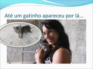 Até um gatinho apareceu por lá...

 