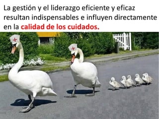 La re evolucion de los cuidados