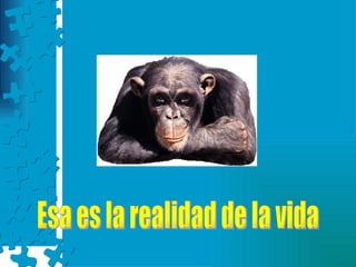 Esa es la realidad de la vida 