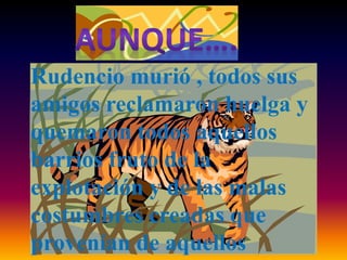 Rudencio murió , todos sus
amigos reclamaron huelga y
quemaron todos aquellos
barrios fruto de la
explotación y de las malas
costumbres creadas que
provenían de aquellos
 