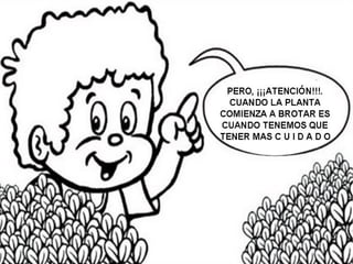 La receta de la Paz  (imprimir y colorear)