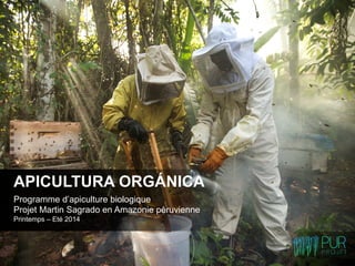 Programme d’apiculture biologique
Projet Martin Sagrado en Amazonie péruvienne
Printemps – Eté 2014
APICULTURA ORGÁNICA 	
  
 
