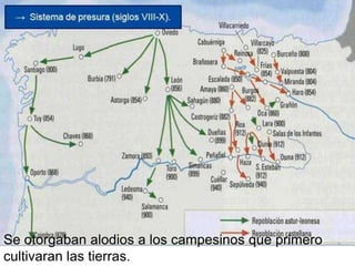 Se otorgaban alodios a los campesinos que primero
cultivaran las tierras.
 