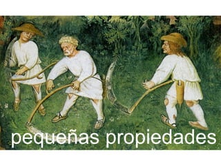 pequeñas propiedades
 