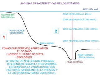 PLATAFORMA
CONTINENTAL
TALUD O BORDE
CONTINENTAL
LLANURA ABISAL
FOSA OCEÁNICA
ZONA EPIPELÁGICA (0- 200 m)
ZONA MESOPELÁGICA (200-1000m)
ZONA BATIIPELÁGICA (1000- 4000 m)
ZONA ABISOPELÁGICA (4000- 6000 m)
ZONA HADALPE-
LÁGICA (>6000 m)
NIVEL DEL MAR
(2) DISTINTOS NIVELES QUE PODEMOS
DIFERENCIAR SEGÚN LA PROFUNDIDAD,
ESTO IMPLICA LA VARIACIÓN DE DOS
FACTORES IMPORTANTES: LA PRESIÓN Y
LA LUZ (PENETRA HASTA UNOS 200 m).
1
2
ALGUNAS CARACTERÍSTICAS DE LOS OCÉANOS
ZONAS QUE PODEMOS APRECIAR EN
EL OCÉANO:
(1)DESDE EL PUNTO DE VISTA
GEOLÓGICO.
 