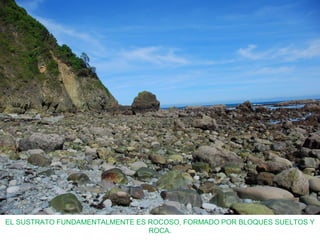 EL SUSTRATO FUNDAMENTALMENTE ES ROCOSO, FORMADO POR BLOQUES SUELTOS Y
ROCA.
 