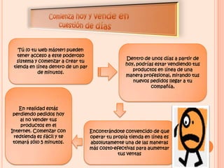 Una tienda en línea profesional con su propio diseño y contenido