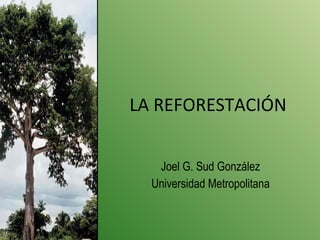 LA REFORESTACIÓN Joel G. Sud González Universidad Metropolitana 