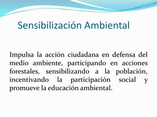 Sensibilización Ambiental
Impulsa la acción ciudadana en defensa del
medio ambiente, participando en acciones
forestales, sensibilizando a la población,
incentivando la participación social y
promueve la educación ambiental.
 