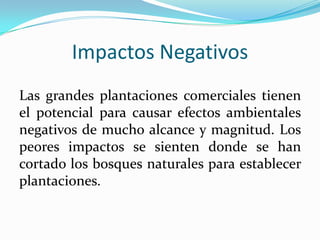 Impactos Negativos
Las grandes plantaciones comerciales tienen
el potencial para causar efectos ambientales
negativos de mucho alcance y magnitud. Los
peores impactos se sienten donde se han
cortado los bosques naturales para establecer
plantaciones.
 