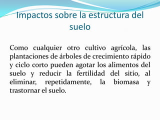 Impactos sobre la estructura del
suelo
Como cualquier otro cultivo agrícola, las
plantaciones de árboles de crecimiento rápido
y ciclo corto pueden agotar los alimentos del
suelo y reducir la fertilidad del sitio, al
eliminar, repetidamente, la biomasa y
trastornar el suelo.
 