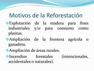 Motivos de la Reforestación
Explotación de la madera para fines
industriales y/o para consumo como
plantas.
Ampliación de la frontera agrícola o
ganadera.
Ampliación de áreas rurales.
Incendios forestales (intencionales,
accidentales o naturales).
 