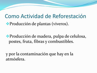 Como Actividad de Reforestación
Producción de plantas (viveros).
Producción de madera, pulpa de celulosa,
postes, fruta, fibras y combustibles.
y por la contaminación que hay en la
atmósfera.
 