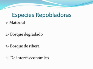Especies Repobladoras
1- Matorral
2- Bosque degradado
3- Bosque de ribera
4- De interés económico
 