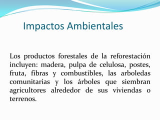 Impactos Ambientales
Los productos forestales de la reforestación
incluyen: madera, pulpa de celulosa, postes,
fruta, fibras y combustibles, las arboledas
comunitarias y los árboles que siembran
agricultores alrededor de sus viviendas o
terrenos.
 