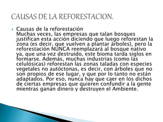  Causas de la reforestación
Muchas veces, las empresas que talan bosques
justifican esta acción diciendo que luego reforestan la
zona (es decir, que vuelven a plantar árboles), pero la
reforestación NUNCA reemplazará al bosque nativo
ya, que una vez destruido, este bioma tarda siglos en
formarse. Además, muchas industrias (como las
celulósicas) reforestan las zonas taladas con especies
vegetales no autóctonas, es decir, con árboles que no
son propios de ese lugar, y que por lo tanto no están
adaptados. Por eso, nunca hay que caer en los dichos
de ciertas empresas que quieren confundir a la gente
mientras ganan dinero y destruyen el Ambiente.
 