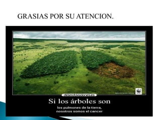 GRASIAS POR SU ATENCION.
 