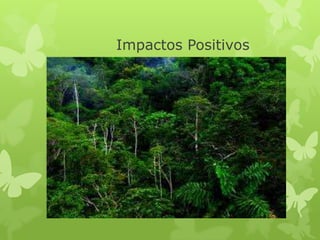 Impactos Positivos
 