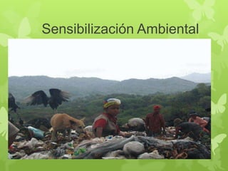 Sensibilización Ambiental
 