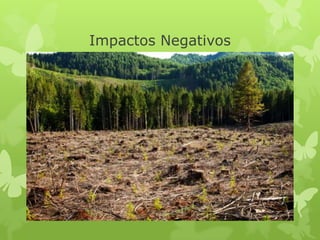 Impactos Negativos
 