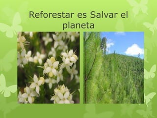Reforestar es Salvar el
planeta
 