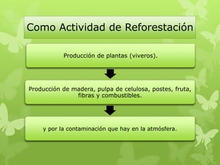 Como Actividad de Reforestación
Producción de plantas (viveros).
Producción de madera, pulpa de celulosa, postes, fruta,
fibras y combustibles.
y por la contaminación que hay en la atmósfera.
 