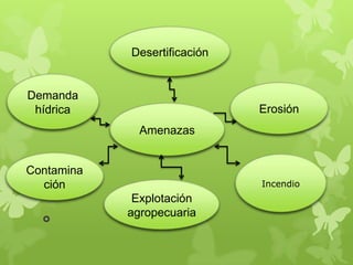 




Amenazas
Contamina
ción
Demanda
hídrica
Desertificación
Erosión
Explotación
agropecuaria
Incendio
 