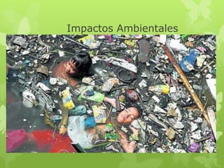 Impactos Ambientales
 