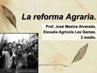 La reforma Agraria.
      Prof. José Mesina Alvarado.
     Escuela Agrícola Las Garzas.
                         2 medio.
 