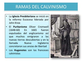 RAMAS DEL CALVINISMO
• La Iglesia Presbiteriana se inició en
  la reforma Escocesa liderada por
  John Knox
• El Puritanismo Oliver Cromwell
  (1648-60)     En     1665     fueron
  expulsados del anglicanismo así
  que muchos emigraron a las
  nuevas tierras descubiertas y en la
  llamada       Nueva        Inglaterra
  concretaron sus ansias de libertad
• Los Hugonotes son los franceses
  calvinistas
 