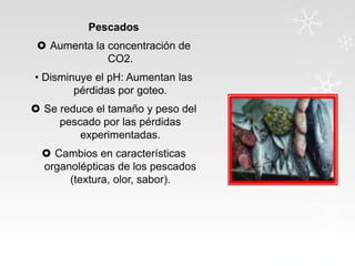 Pescados
 Aumenta la concentración de
CO2.
• Disminuye el pH: Aumentan las
pérdidas por goteo.
 Se reduce el tamaño y peso del
pescado por las pérdidas
experimentadas.

 Cambios en características
organolépticas de los pescados
(textura, olor, sabor).

 