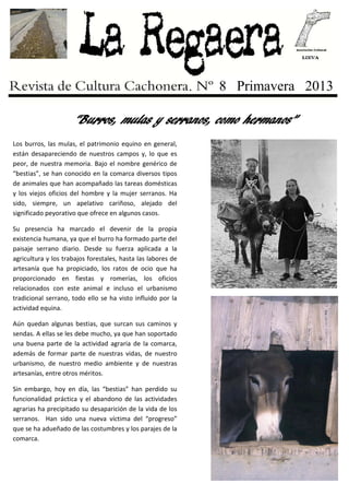 “Burros, mulas y serranos, como hermanos”
8 Primavera 2013
Los burros, las mulas, el patrimonio equino en general,
están desapareciendo de nuestros campos y, lo que es
peor, de nuestra memoria. Bajo el nombre genérico de
“bestias”, se han conocido en la comarca diversos tipos
de animales que han acompañado las tareas domésticas
y los viejos oficios del hombre y la mujer serranos. Ha
sido, siempre, un apelativo cariñoso, alejado del
significado peyorativo que ofrece en algunos casos.
Su presencia ha marcado el devenir de la propia
existencia humana, ya que el burro ha formado parte del
paisaje serrano diario. Desde su fuerza aplicada a la
agricultura y los trabajos forestales, hasta las labores de
artesanía que ha propiciado, los ratos de ocio que ha
proporcionado en fiestas y romerías, los oficios
relacionados con este animal e incluso el urbanismo
tradicional serrano, todo ello se ha visto influido por la
actividad equina.
Aún quedan algunas bestias, que surcan sus caminos y
sendas. A ellas se les debe mucho, ya que han soportado
una buena parte de la actividad agraria de la comarca,
además de formar parte de nuestras vidas, de nuestro
urbanismo, de nuestro medio ambiente y de nuestras
artesanías, entre otros méritos.
Sin embargo, hoy en día, las “bestias” han perdido su
funcionalidad práctica y el abandono de las actividades
agrarias ha precipitado su desaparición de la vida de los
serranos. Han sido una nueva víctima del “progreso”
que se ha adueñado de las costumbres y los parajes de la
comarca.
 