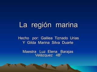 La  región  marina Hecho  por:  Galilea  Tiznado  Urias Y  Gilda  Marina  Silva  Duarte  Maestra  Luz  Elena  Barajas  Velázquez  4B” 