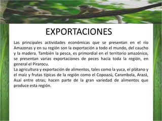 Abundancia de insectos nocivos.Suelo:Suelo poco fértil.