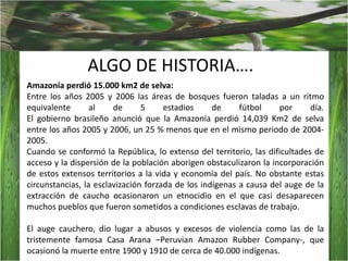 ALGO DE HISTORIA….Amazonía perdió 15.000 km2 de selva:Entre los años 2005 y 2006 las áreas de bosques fueron taladas a un ritmo equivalente al de 5 estadios de fútbol por día.El gobierno brasileño anunció que la Amazonía perdió 14,039 Km2 de selva entre los años 2005 y 2006, un 25 % menos que en el mismo periodo de 2004-2005.Cuando se conformó la República, lo extenso del territorio, las dificultades de acceso y la dispersión de la población aborigen obstaculizaron la incorporación de estos extensos territorios a la vida y economía del país. No obstante estas circunstancias, la esclavización forzada de los indígenas a causa del auge de la extracción de caucho ocasionaron un etnocidio en el que casi desaparecen muchos pueblos que fueron sometidos a condiciones esclavas de trabajo.  El auge cauchero, dio lugar a abusos y excesos de violencia como las de la tristemente famosa Casa Arana –Peruvian Amazon RubberCompany-, que ocasionó la muerte entre 1900 y 1910 de cerca de 40.000 indígenas.