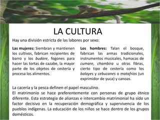 LA CULTURAHay una división estricta de las labores por sexo:Los hombres: Talan el bosque, fabrican las armas tradicionales, instrumentos musicales, hamacas de cumare, chambira u otras fibras, cierto tipo de cestería como los balayes y cebucanes o matafríos (un exprimidor de yuca) y canoas.Las mujeres: Siembran y mantienen los cultivos, fabrican recipientes de barro y los budare, fogones para hacer las tortas de cazabe, la mayor parte de los objetos de cestería y procesa los alimentos. La cacería y la pesca definen el papel masculino.El matrimonio se hace preferentemente con personas de grupo étnico diferente. Esta estrategia de alianzas e intercambio matrimonial ha sido un factor decisivo en la recuperación demográfica y supervivencia de los pueblos indígenas. La educación de los niños se hace dentro de los grupos domésticos.