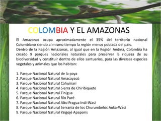 COLOMBIA Y EL AMAZONASEl Amazonas ocupa aproximadamente el 35% del territorio nacional Colombiano siendo al mismo tiempo la región menos poblada del país.Dentro de la Región Amazonas, al igual que en la Región Andina, Colombia ha creado 9 parques nacionales naturales para preservar la riqueza de su biodiversidad y constituir dentro de ellos santuarios, para las diversas especies vegetales y animales que los habitan:1. Parque Nacional Natural de la paya2 .Parque Nacional Natural Amacayacú3. Parque Nacional Natural Cahuinarí4. Parque Nacional Natural Sierra de Chiribiquete5. Parque Nacional Natural Tinigua6. Parque Nacional Natural Río Puré7. Parque Nacional Natural Alto Fragua Indi-Wasi8. Parque Nacional Natural Serranía de los ChurumbelosAuka-Wasi9. Parque Nacional Natural Yaigojé Apaporis