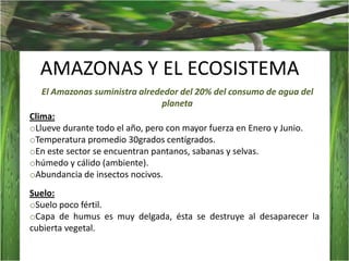 AMAZONAS Y EL ECOSISTEMAEl Amazonas suministra alrededor del 20% del consumo de agua del planetaClima:Llueve durante todo el año, pero con mayor fuerza en Enero y Junio.